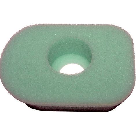 Filtre à air BRIGGS ET STRATTON 270579