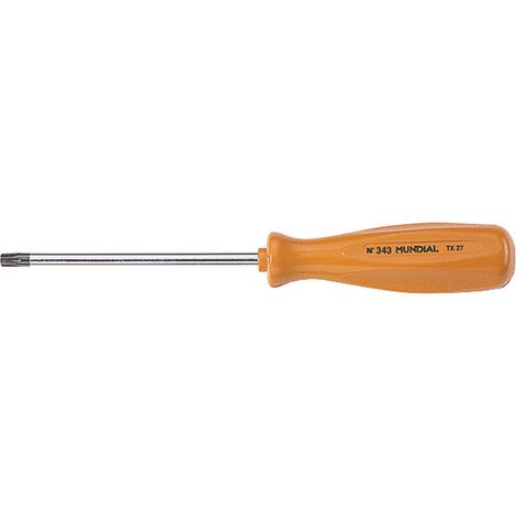 Giravite con impronta torx - t8