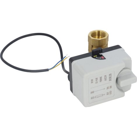 Vanne à bille motorisée 2 fils 2 voies automatique/manuelle normalement ouverte DN20 AC220V pour la commande (1/5)
