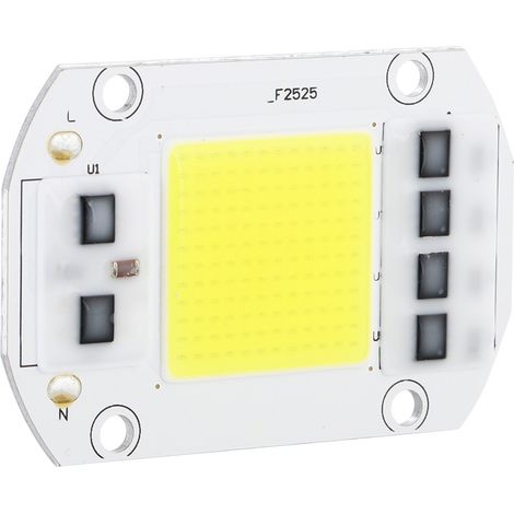 Puce LED COB haute puissance blanc froid 100 W 220 V, source lumineuse haute tension pour une utilisation intérieure et extérieure (1/5)