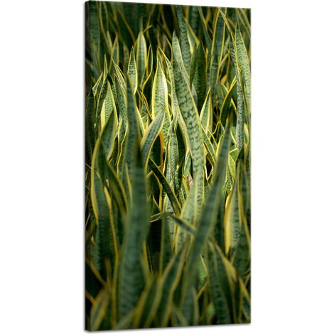 Impression sur toile Botanique Herbe verte 40x80 cm