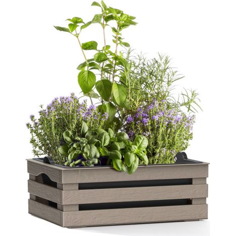 Caisse à fleurs avec pot + soucoupe "Tina" en plastique - Taupe - L 25 x P 15,5 cm - Livraison gratuite (1/3)