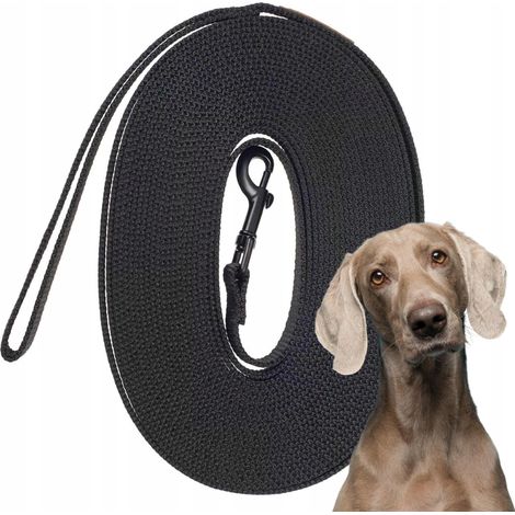 Laisse d'éducation canine pour apprendre les ordres aux chiens en promenade, 5 mètres de long, Ukory, NOIRE (1/5)