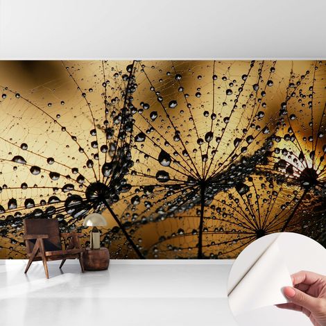 Fotomurale adesivo - murale da parete - Carta da parati autoadesiva - design parete moderno - Gocce delicate 416x254 cm (1/5)