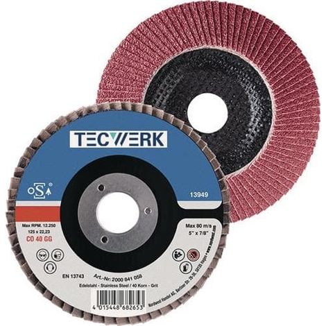 Fächerscheibe D.125mm K.40 kon.INOX CO TECWERK (1/2)