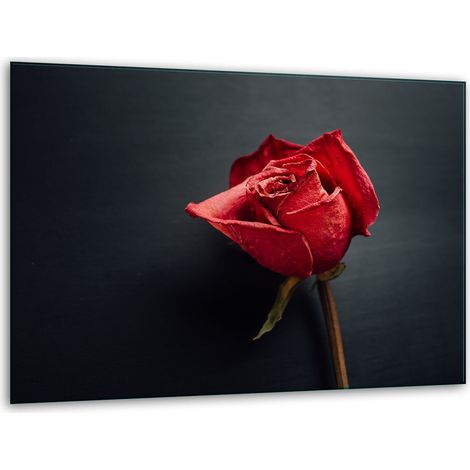Rosa del taglio del taglio in vetro 40x30 rosa (1/5)