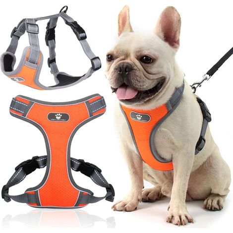 Pettorina da addestramento per cani ASTRO, arancione, taglia S (1/5)