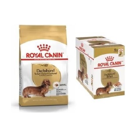 Cibo bagnato per cani adulti Canino reale Teckel 12 buste x 85 gr + sacchetto 1,5 kg