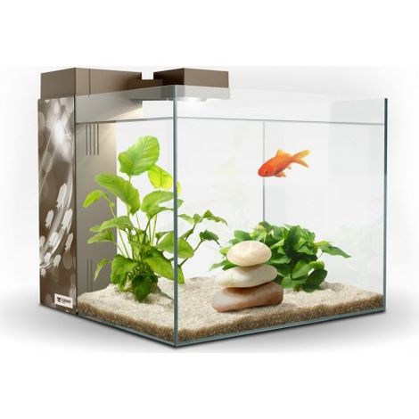 ACUARIO ZENEO 30 ECLAT