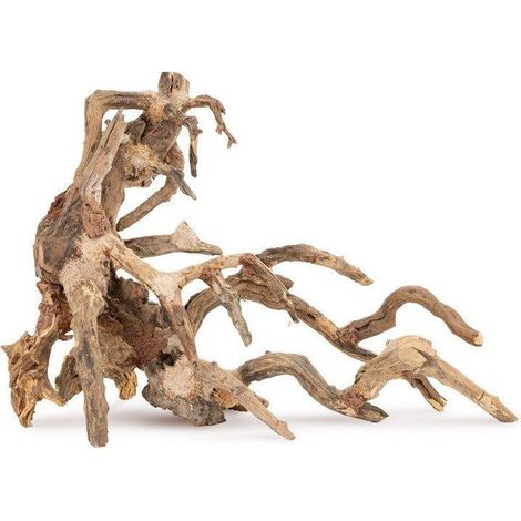 Radice decorativa Tulup bonsai no 64 naturale 75x45 cm