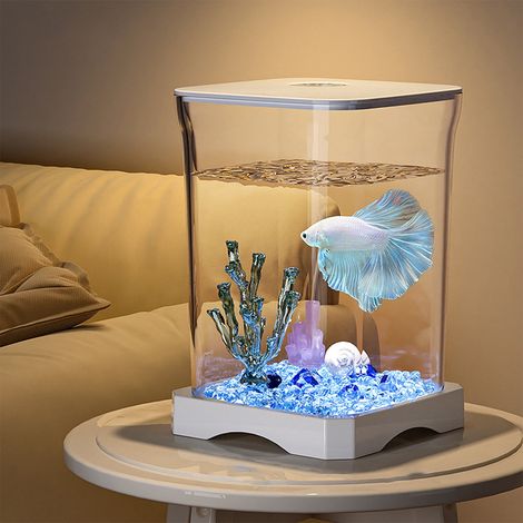 Aquarium Mini - 17,7 x 11,8 cm - Éclairage LED Intégré - Pour Bureau et Intérieur - PVC Blanc ou Noir - 1 Unité (1/5)