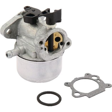 Carburateur BRIGGS ET STRATTON 790978 (1/2)
