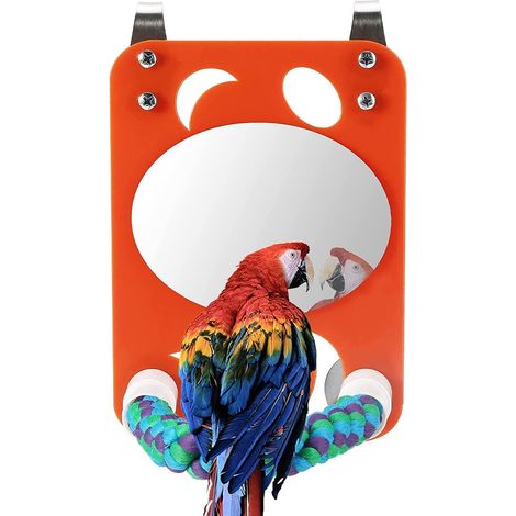 Jouet pour oiseau, Miroir Oiseau Perroquet, Perche Support D'oiseau avec Miroir, Miroir Oiseau avec Perche (1/5)