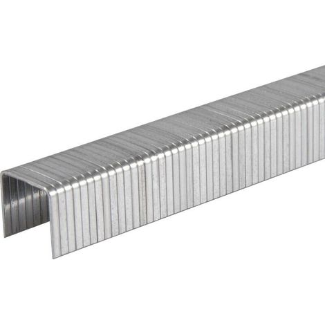 Boîte de 5000 agrafes galvanisées de type 140 L. 6 mm - TA-0340 - Tacwise - Boîte de 5000 agrafes galvanisées de type 140 L. 6 mm - TA-0340 - Tacwise (1/4)