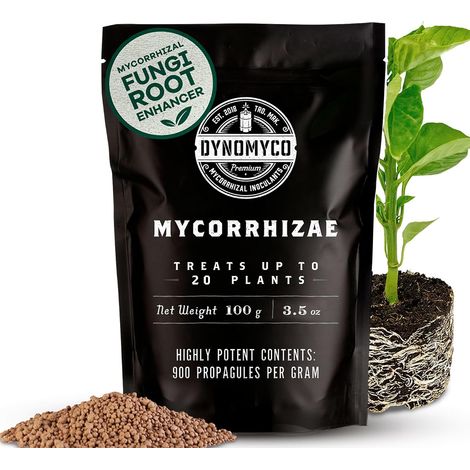 Inoculant mycorhizien de - Souches hautes performances - Formule concentrée - Améliore l'absorption des nutriments - Augmente les rendements des plantes (100 g/Up to 20 Plants) (1/5)