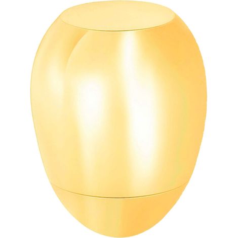 Urne pour animaux de compagnie aimant chien souvenir-or (1/4)