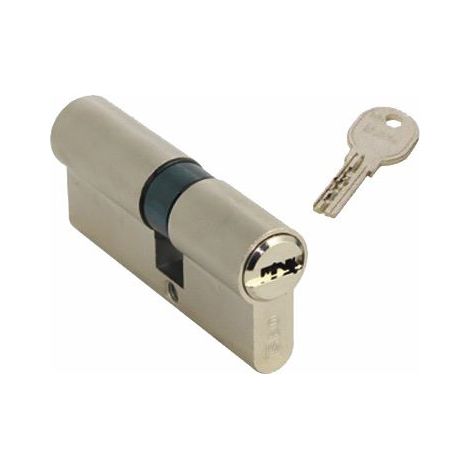 CYLINDRE EUROPÉEN ISEO DOUBLE PROFIL R6 AVEC CLÉS PLATES R6 MM.28-33