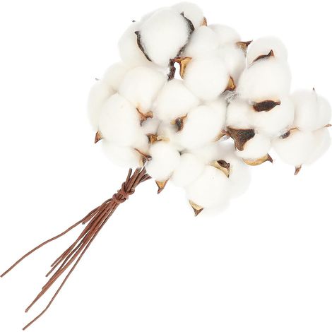 Bouquet de Fleurs de Coton Naturel Blanc, 10 Tiges Décoratives en Coton pour Décoration Intérieure Festive et Ambiance Joyeuse (1/5)