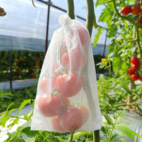 Sac de Protection pour Fruits 18x25 cm - Lot de 50 Poches Translucides et Respirantes, Imperméables et Anti-Insectes, Idéal contre la Mouche des Fruits-lsw (1/5)