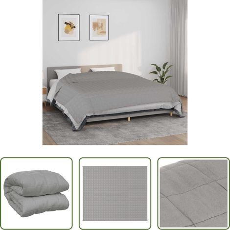 Sommeil -  Couverture lestée Gris 220x260 cm 15 kg Tissu (1/5)