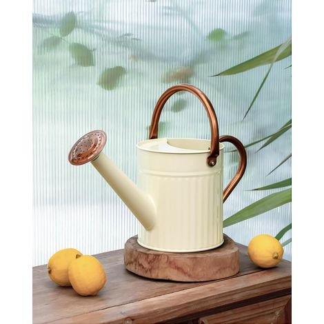 Arrosoir en Acier galvanisé 2 Modes d'arrosage 1,89 L Beige crème  Long Bec - pour arroser Les Plantes - 1,89 l - Blanc crème (1/5)