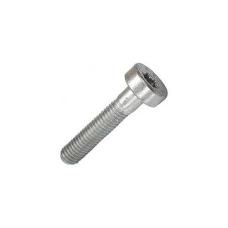 42377160400 – Vis cylindrique IS M5X25 pour taille-haie – Accessoire de précision pour coupe nette – Compatible avec modèles STIHL