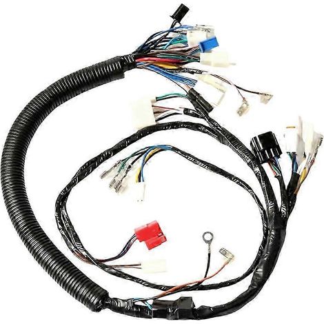 Compatible avec les motos YBR125 et JYM125 : faisceau de câblage complet pour véhicule, ensemble de prises, câble de circuit, Euro I. (1/5)