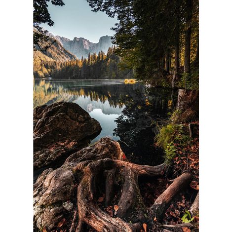 Tableau sur toile racines et rivière 100x140 cm - Impression sur Toile Murale Décorative - Image imprimée en HD sur Toile - Toile sur Châssis en Bois FSC - Fabriqué en France (1/5)
