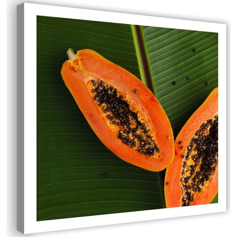 Cadre déco Papaye Fruit Feuilles 40x40 (1/5)