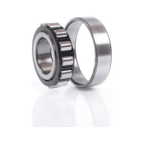 FAG Zylinderrollenlager N204 -E-XL-TVP2-C3 Innen-Ø 20 mm Außen-Ø 47 mm ( 8000527840 )