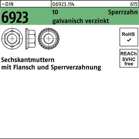DIN 6923 10 M 6 galv. verzinkt m.Sperrverzahnung gal Zn S 1000 Stk (1/2)