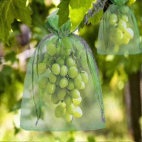 100 sachets de protection en organza avec cordon de serrage pour raisins et fruits - Protègent contre les guêpes et les oiseaux (30x20cm/23x17cm) (1/5)