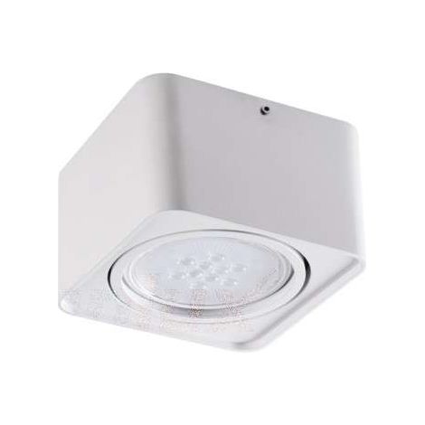 Spot plafond orientable Kanlux Tubeo ES111 blanc 25W (1/5)