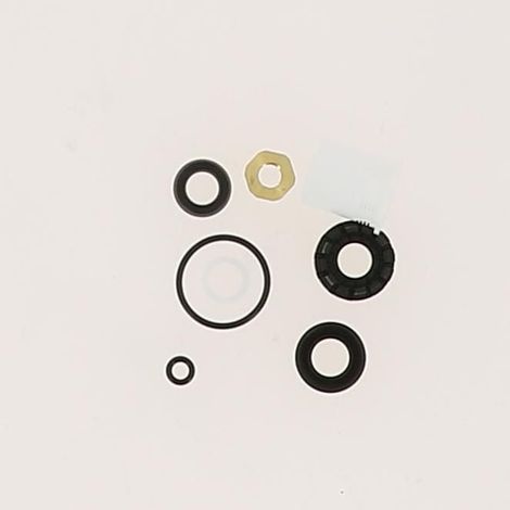 Delabie Service-Kit WT/DU TEMPOSTOP 15 Sek. - bis 2022