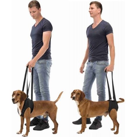 Harnais d’aide à la marche Désignation : Harnais d&039aide à la marche Taille : L - XL Trixie 19408
