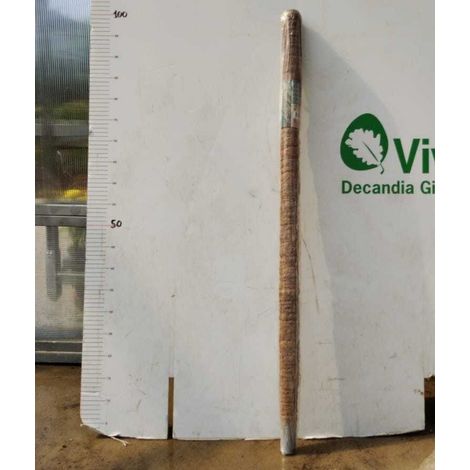 TUTORI MUSCHIATI PER PIANTE (VARIE DIMENSIONI)-D 32 H. 100 CM