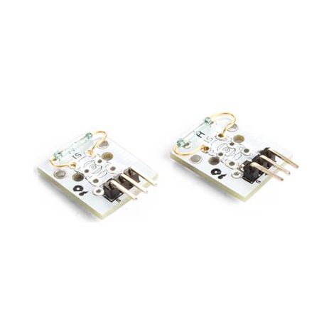 Mini-modulo Reed Magnetico (2 pezzi) (1/3)