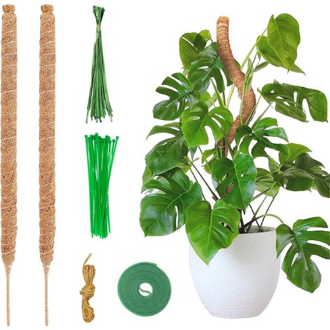 Tuteur en mousse - Tuteur pour plantes - Tuteur en mousse extensible - Support flexible - Outils de jardin inclus - 2 x 64 cm - Extra long - Marron (1/5)