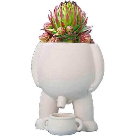Pot de fleurs en forme de pot de chambre à pipi, compatible avec les plantes, pot de fleurs humoristique, vase original pour la maison (1/5)