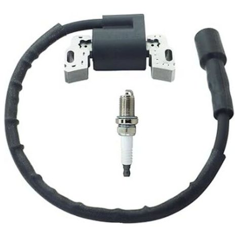 Bobine d'allumage haute tension compatible avec 594626 594456 795315 592841 avec bougie d'allumage (1/4)