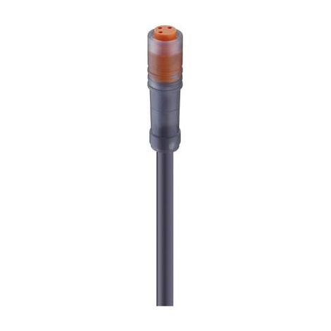 Lumberg Automation 11285-1 Connettore confezionato per sensore o attuatore M8 Presa dritta 5.00 m Numero di poli: 4 1 p