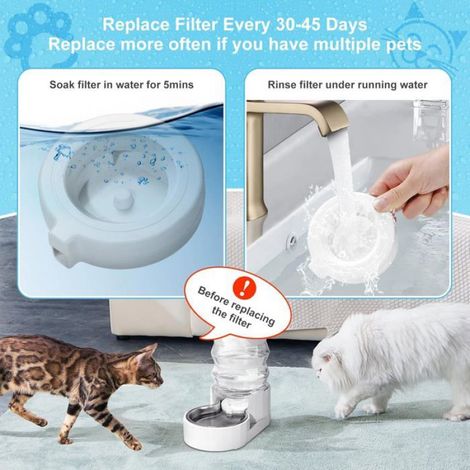 Filtre De Rechange - Triple Filtration - Pour Abreuvoir Automatique Animal 3 L À 8 L - Lot De 4 (1/5)