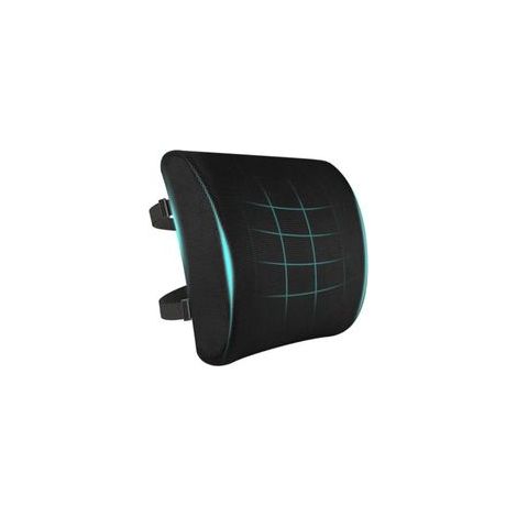 Coussin De Soutien Lombaire, Support Ergonomique Maintien du Dos en Mousse À Mémoire De Forme, Corrige La Posture, pour Voiture Bureau Chaise Fauteuil, Housse Lavable (Noir) (1/5)
