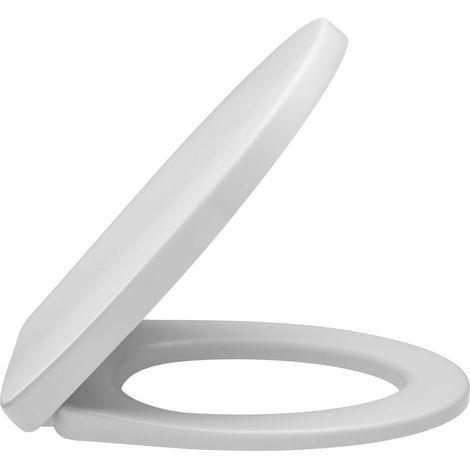 Jacob Delafon – Abattant WC thermodur déclipsable à descente progressive – Confort sonore – Accès facile pour nettoyage – Dimensions 45 x 39.2 cm