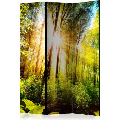 Paravento - Forest Hideout [Room Dividers] - 135x172 (1/4)