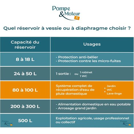 Aquasystem – Réservoir à vessie 100L vertical sous pression 10 bars – Vessie EPDM démontable – Pour pompage d'eau calcaire – Fabrication italienne