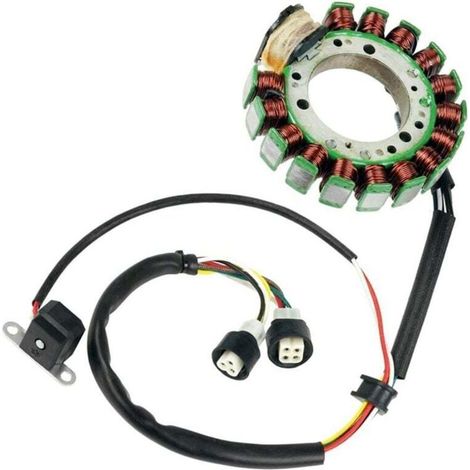 Bobine de stator 3HN-85510-00-00 pour WARRIOR YFM350 90-95 (1/4)