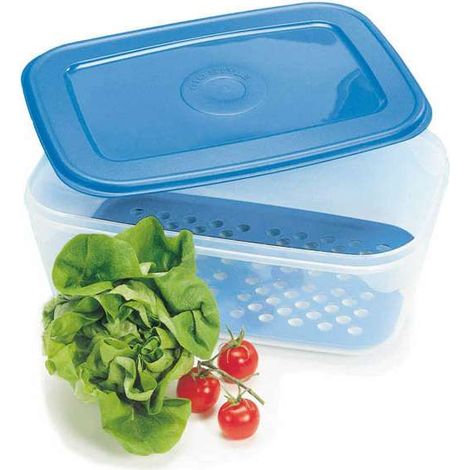 Giostyle Contenitore Rettangolare - Trasparente/Blu - 34x24x12 cm (1/5)