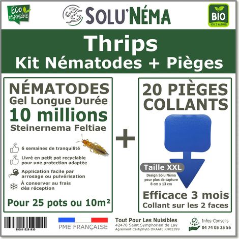 Kit Thrips - 10 millions Nématodes et 20 pièges collants XXL