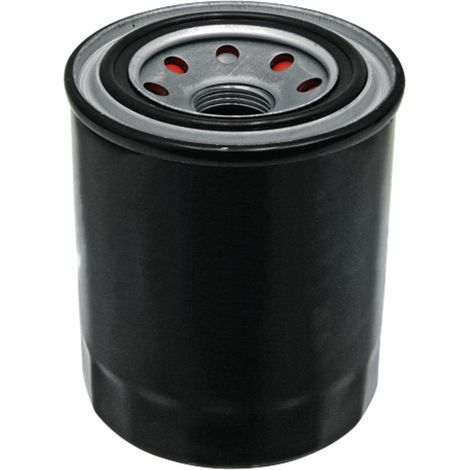 Filtro olio motore 80mm 100mm GRANIT W21ESO1600 HH16032093 HH16032090 (1/2)